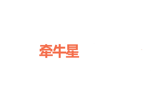 牵牛星